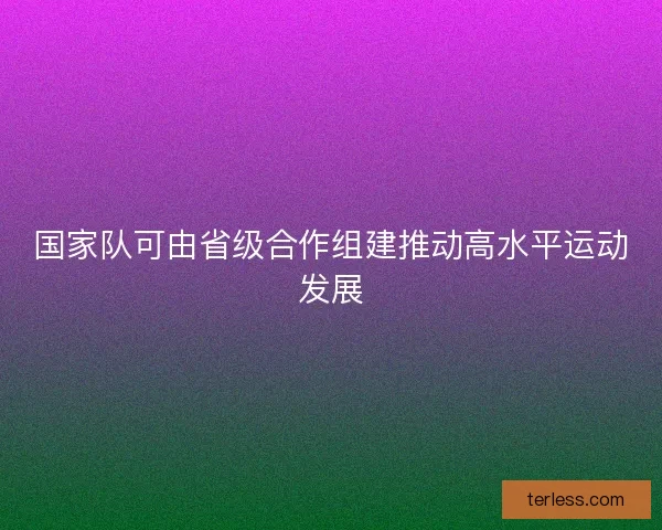 国家队可由省级合作组建推动高水平运动发展